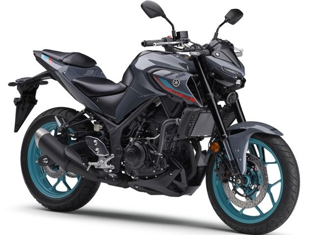 YAMAHA MT 25